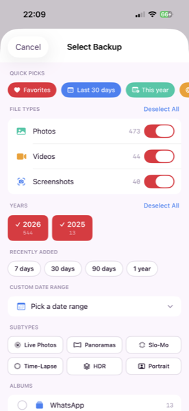 Backup selection sheet showing file types, years, and recently added filters